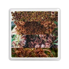 Queen Annes Lace Horizontal Slice Collage Memory Card Reader (square) by okhismakingart