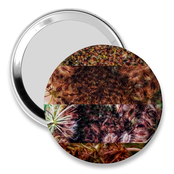 Queen Annes Lace Horizontal Slice Collage 3  Handbag Mirrors