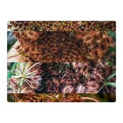 Queen Annes Lace Horizontal Slice Collage Double Sided Flano Blanket (mini)  by okhismakingart