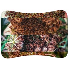 Queen Annes Lace Horizontal Slice Collage Velour Seat Head Rest Cushion by okhismakingart