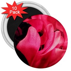 Pink 3  Magnets (10 Pack) 