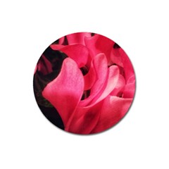 Pink Magnet 3  (round) by okhismakingart