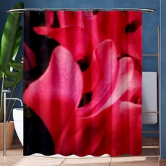 Pink Shower Curtain 60  X 72  (medium)  by okhismakingart