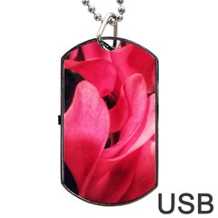 Pink Dog Tag Usb Flash (one Side) by okhismakingart