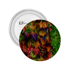 Fall Ivy 2 25  Buttons by okhismakingart