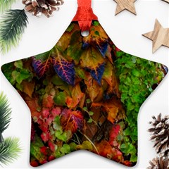 Fall Ivy Ornament (star) by okhismakingart