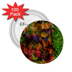 Fall Ivy 2 25  Buttons (100 Pack)  by okhismakingart