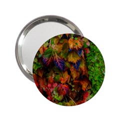 Fall Ivy 2 25  Handbag Mirrors by okhismakingart