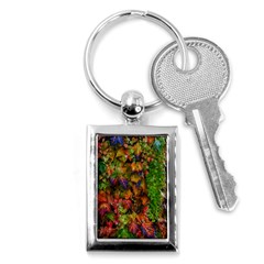 Fall Ivy Key Chains (rectangle)  by okhismakingart