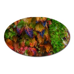 Fall Ivy Oval Magnet by okhismakingart