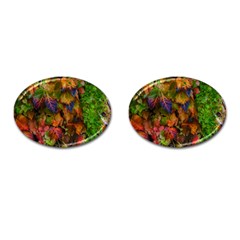 Fall Ivy Cufflinks (oval) by okhismakingart