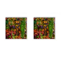 Fall Ivy Cufflinks (square) by okhismakingart