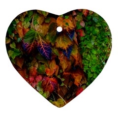 Fall Ivy Heart Ornament (two Sides) by okhismakingart