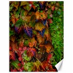 Fall Ivy Canvas 12  x 16  11.86 x15.41  Canvas - 1