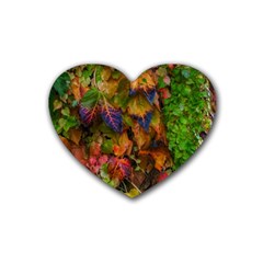 Fall Ivy Heart Coaster (4 Pack)  by okhismakingart