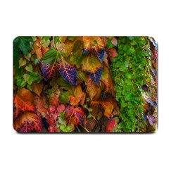 Fall Ivy Small Doormat  by okhismakingart