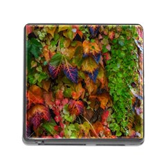 Fall Ivy Memory Card Reader (square 5 Slot) by okhismakingart