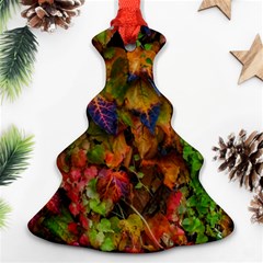 Fall Ivy Ornament (christmas Tree)  by okhismakingart