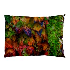 Fall Ivy Pillow Case (two Sides) by okhismakingart