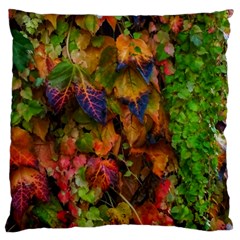 Fall Ivy Large Cushion Case (two Sides) by okhismakingart