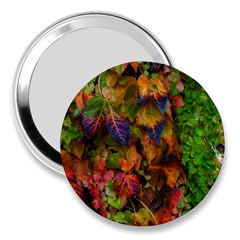 Fall Ivy 3  Handbag Mirrors by okhismakingart