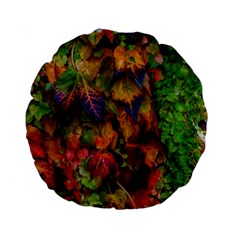 Fall Ivy Standard 15  Premium Round Cushions by okhismakingart