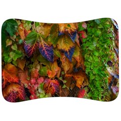 Fall Ivy Velour Seat Head Rest Cushion by okhismakingart