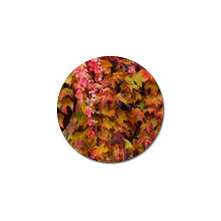 Red and Yellow Ivy Golf Ball Marker