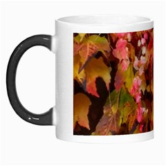 Red And Yellow Ivy Morph Mugs by okhismakingart