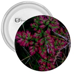 Pink-fringed Leaves 3  Buttons by okhismakingart