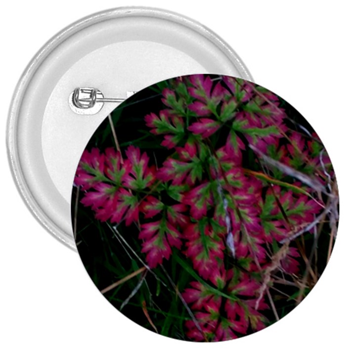 Pink-Fringed Leaves 3  Buttons