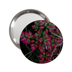 Pink-fringed Leaves 2 25  Handbag Mirrors by okhismakingart