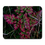 Pink-Fringed Leaves Large Mousepads Front