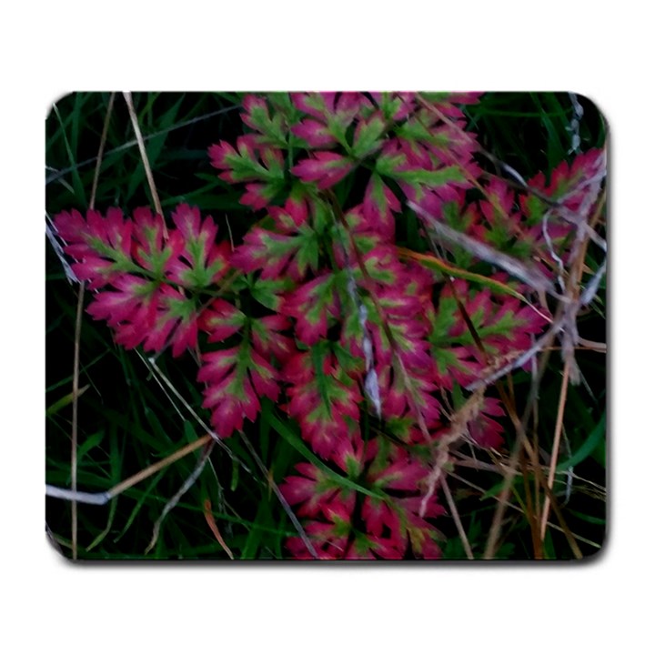 Pink-Fringed Leaves Large Mousepads