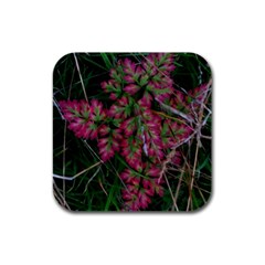 Pink-fringed Leaves Rubber Square Coaster (4 Pack)  by okhismakingart