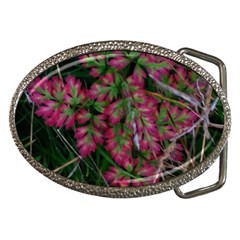 Pink-fringed Leaves Belt Buckles by okhismakingart