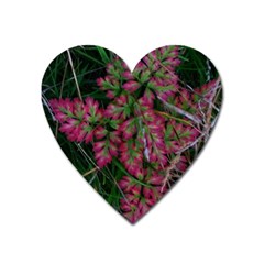 Pink-fringed Leaves Heart Magnet by okhismakingart