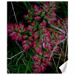 Pink-fringed Leaves Canvas 8  X 10  by okhismakingart