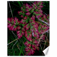 Pink-fringed Leaves Canvas 18  X 24  by okhismakingart