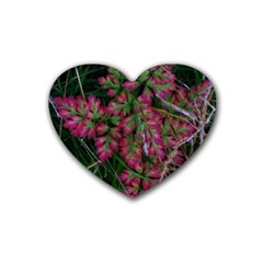 Pink-fringed Leaves Heart Coaster (4 Pack)  by okhismakingart