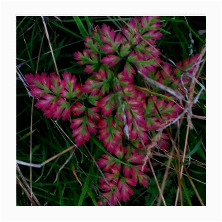 Pink-Fringed Leaves Medium Glasses Cloth