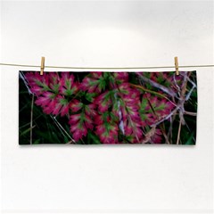 Pink-fringed Leaves Hand Towel by okhismakingart