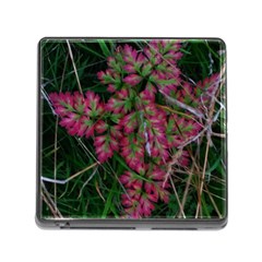 Pink-fringed Leaves Memory Card Reader (square 5 Slot) by okhismakingart