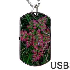 Pink-fringed Leaves Dog Tag Usb Flash (one Side) by okhismakingart