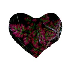 Pink-fringed Leaves Standard 16  Premium Heart Shape Cushions by okhismakingart