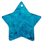 Turquoise Pine Ornament (Star) Front