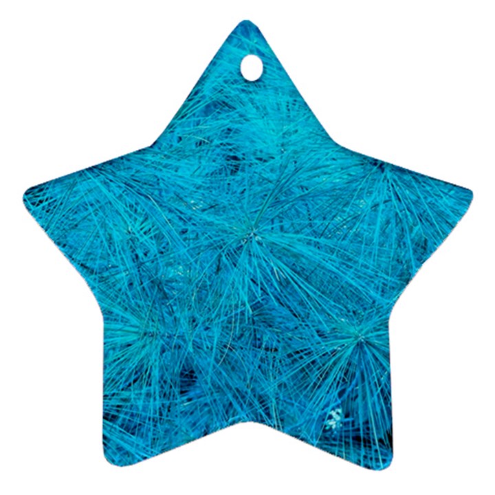 Turquoise Pine Ornament (Star)