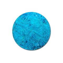 Turquoise Pine Magnet 3  (round) by okhismakingart