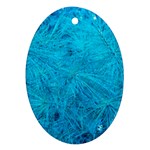 Turquoise Pine Oval Ornament (Two Sides) Front