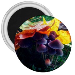 Mushrooms 3  Magnets by okhismakingart